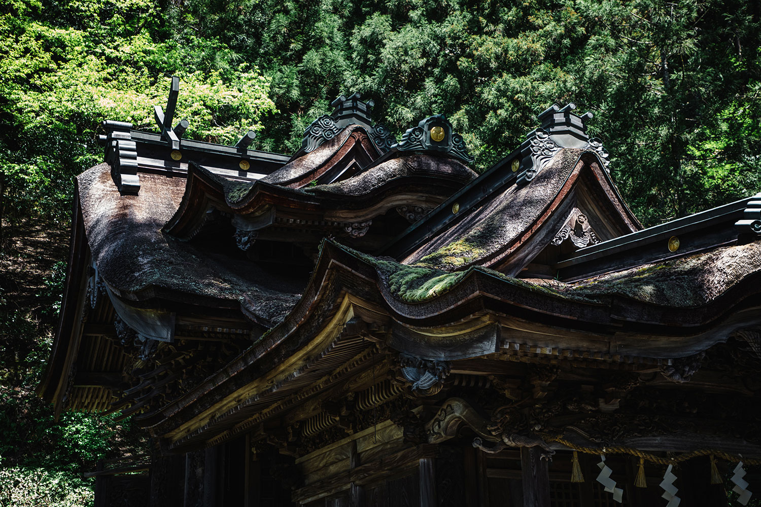 2nd photo of Okamoto Otaki Shrine